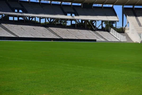 La mejora del césped del Kempes. (La Voz del Interior)