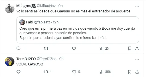 Los hinchas de Boca pidieron por Gayoso.