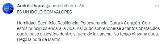Andrés Ibarra fue contundente sobre Martín Palermo. (Captura)