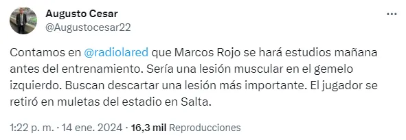 El panorama con respecto a Marcos Rojo. (Captura)