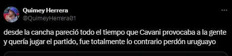 Desde la cancha la imagen fue confusa para los fanáticos. (Captura)