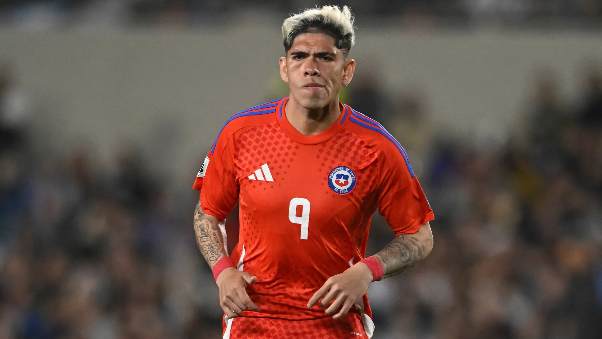 Carlos Palacios en la Selección de Chile