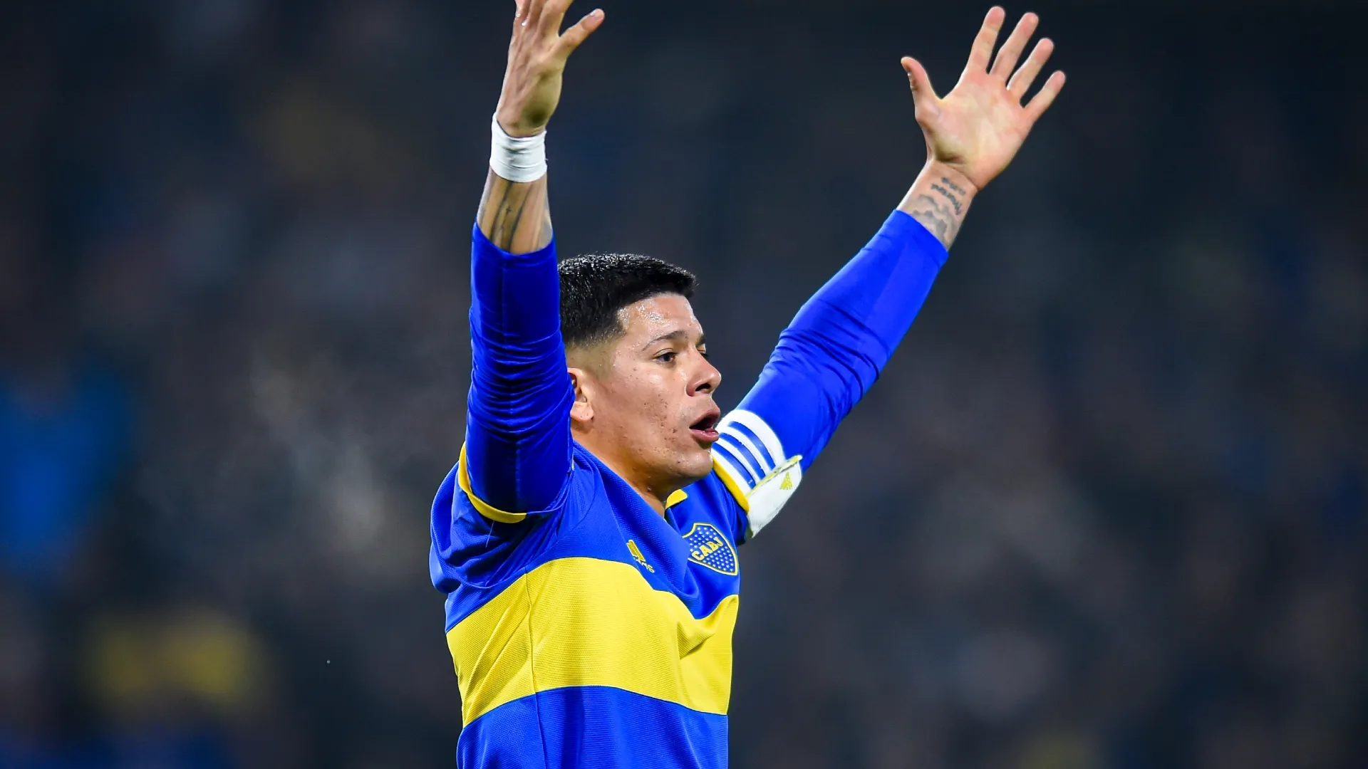 Se acerca el regreso de Zeballos: ¿cuándo podría volver Rojo?