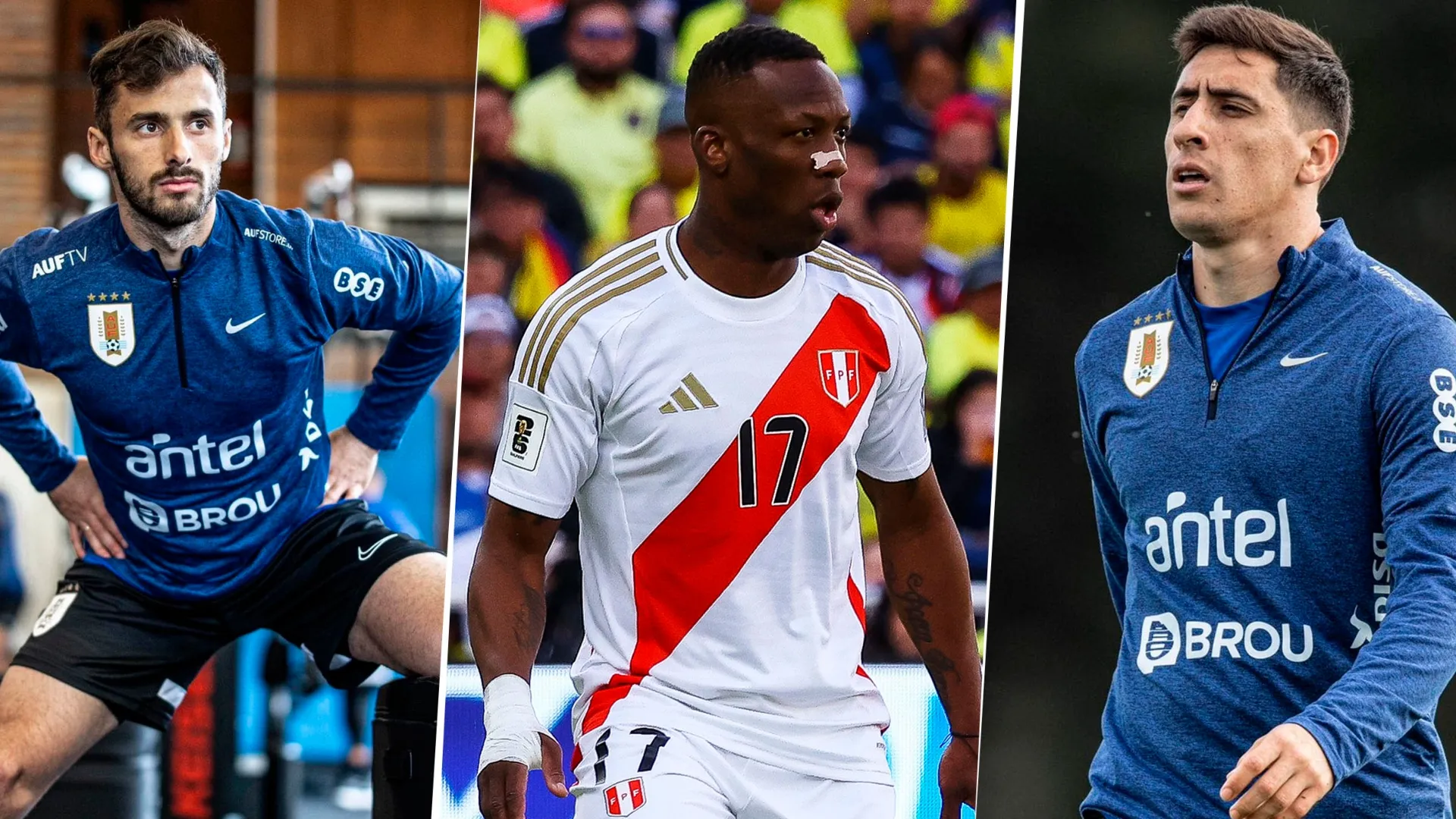 Fecha FIFA: cuántos minutos jugaron los citados de Boca y cuándo vuelven