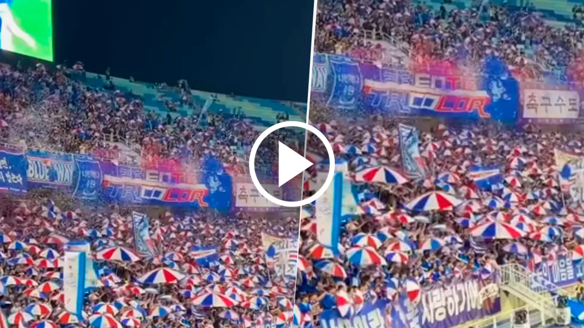 Increíble: en Corea imitan las canciones de la hinchada de Boca