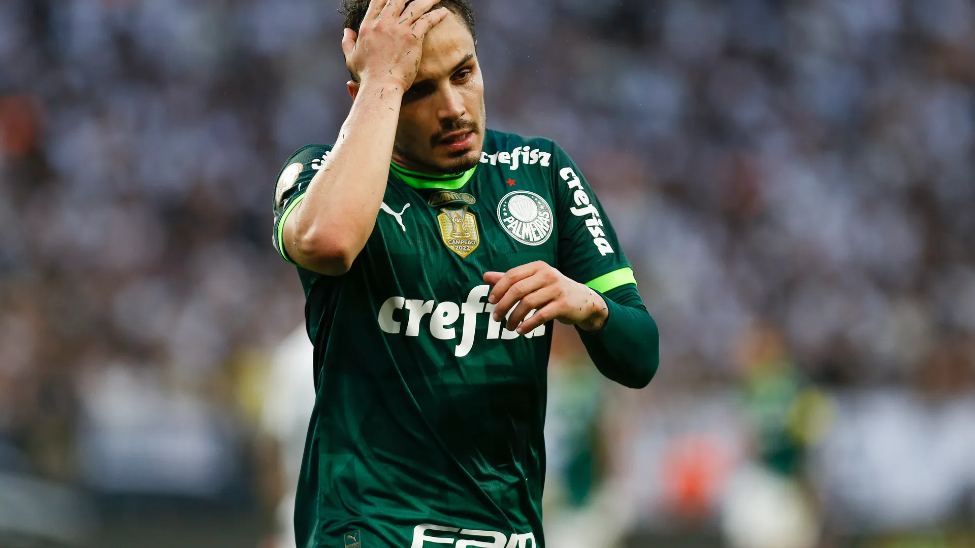 Palmeiras 2023
