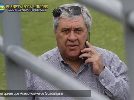 Ameal: “Pediremos la vuelta de Araujo”