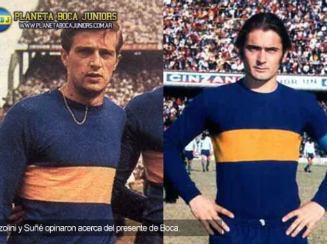 Opiniones autorizadas