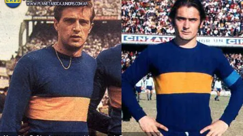 Opiniones autorizadas