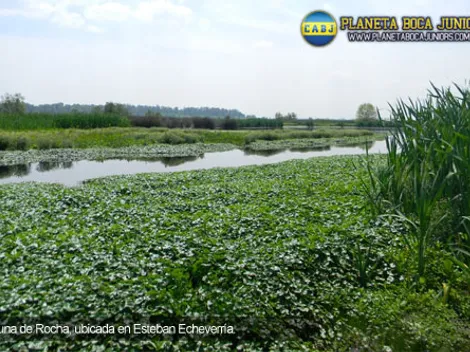 ¿Primer paso hacia la Ciudad Deportiva?