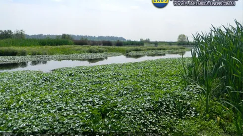 ¿Primer paso hacia la Ciudad Deportiva?