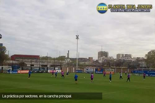 Entrenamiento-por-sectores