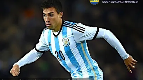 Otro representante azul y oro