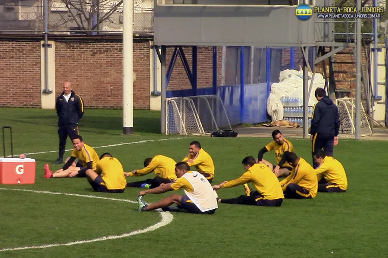 El plantel en plena elongación.