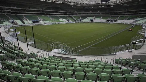 Abejas en el banco de suplentes