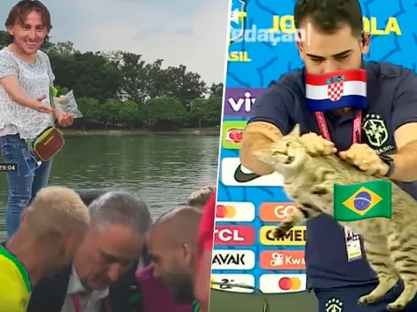 Los mejores memes de los argentinos tras la eliminación de Brasil del Mundial