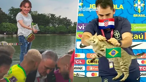 Los mejores memes de los argentinos tras la eliminación de Brasil del Mundial