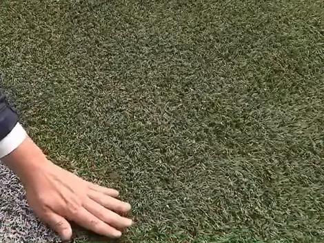 Las dos medidas que tomará Boca para sacar provecho del césped sintético de Palmeiras