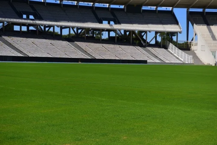La mejora del césped del Kempes. (La Voz del Interior)