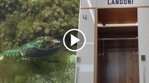 New England Revolution presentó oficialmente a Luca Langoni.