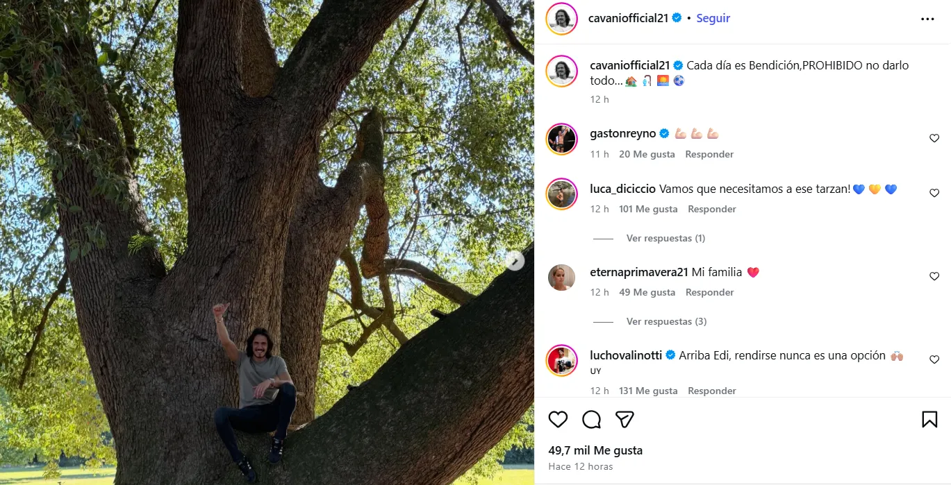 La historia de Cavani en Instagram. (CAPTURA)